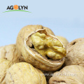 AGOLYN Top Grade Thin-skin Raw Walnuts with shell